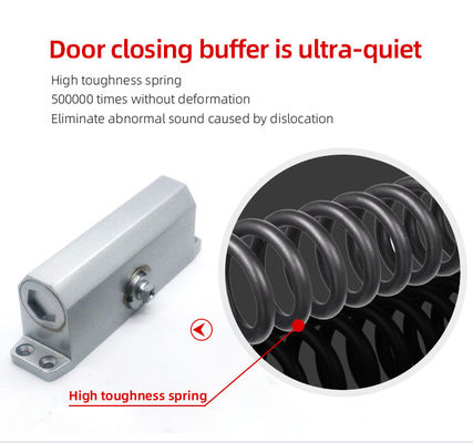 Прочный алюминиевый гидравлический дверной доводчик 60 кг с регулируемой скоростью